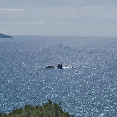 Апартаменты With Swimming Pool And Sea View - *