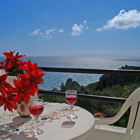 With Swimming Pool And Sea View - *